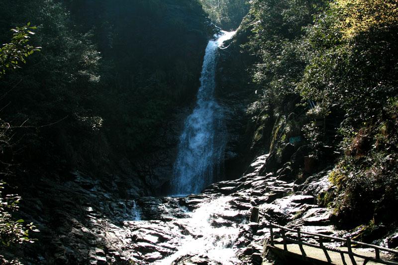 逃离鱼店