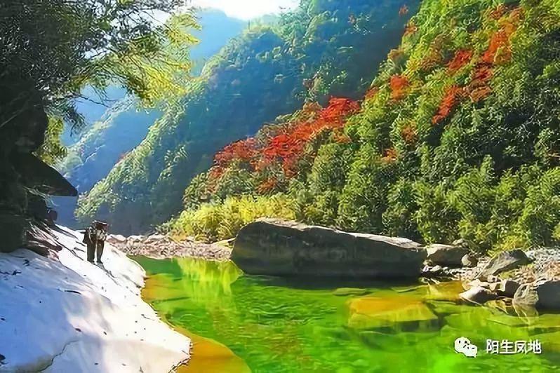 倩女幽魂手游